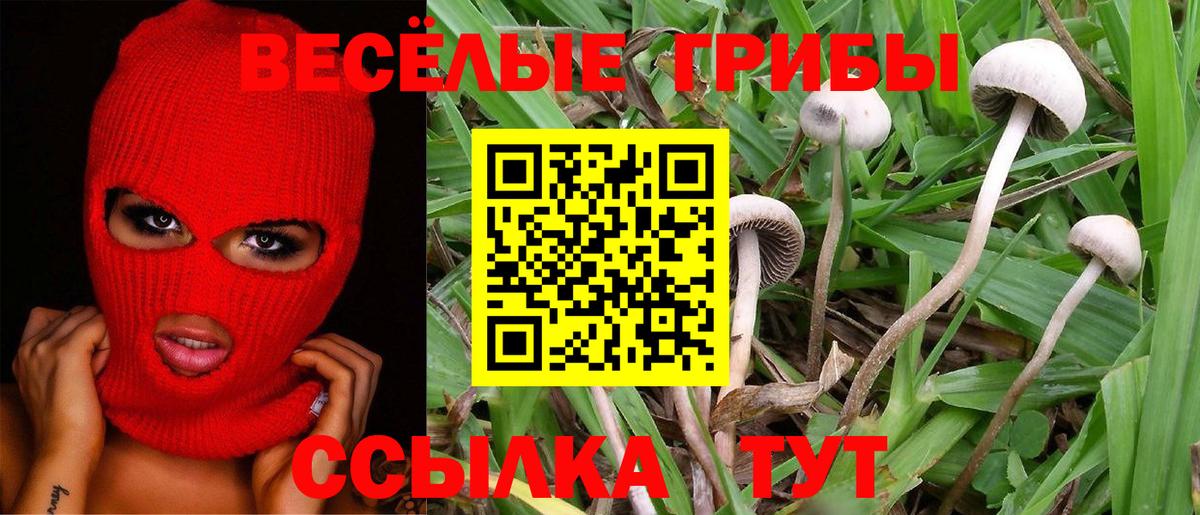 Псилоцибиновые грибы мицелий  Галлюциногенные грибы прущие грибы  Новороссийск  Вход с VPN 