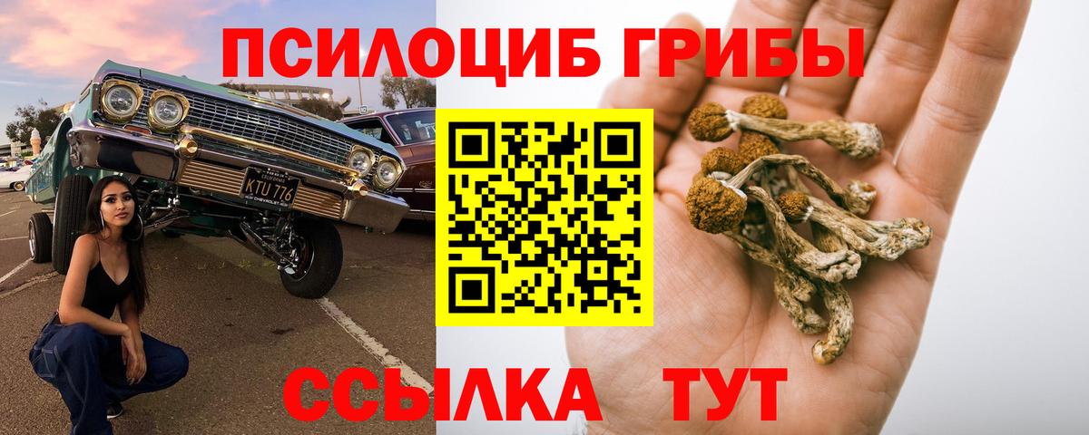 Галлюциногенные грибы мухоморы Новороссийск